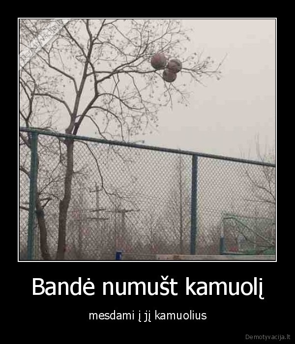 kamuolys