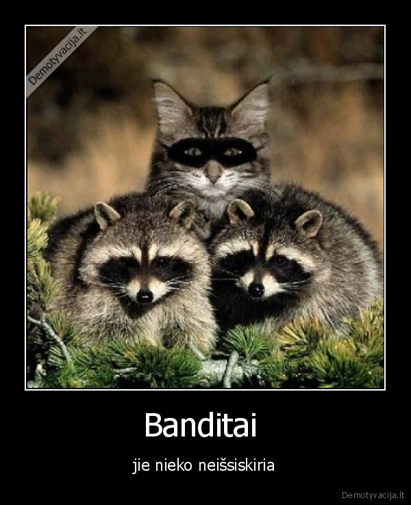 Banditai 