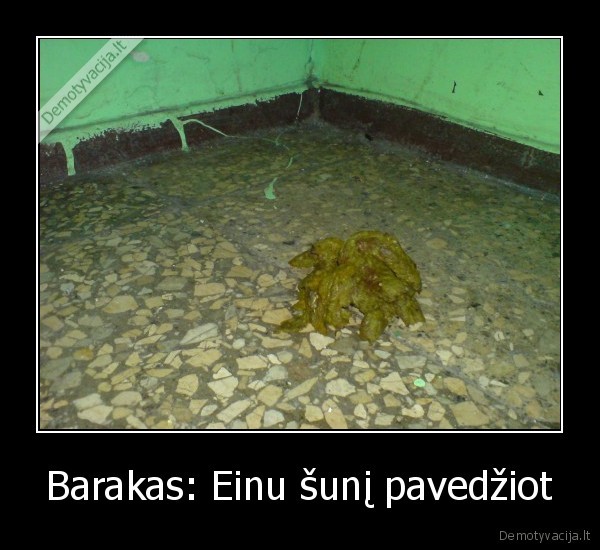 Barakas: Einu šunį pavedžiot