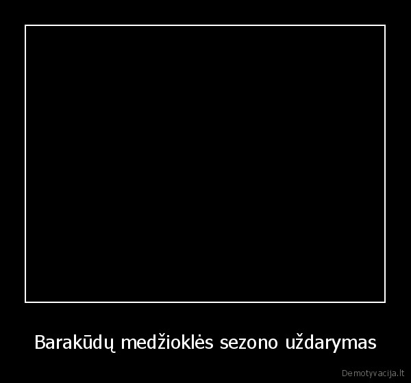 barakudos,naivi, mergina,pinigu, vaikymasis