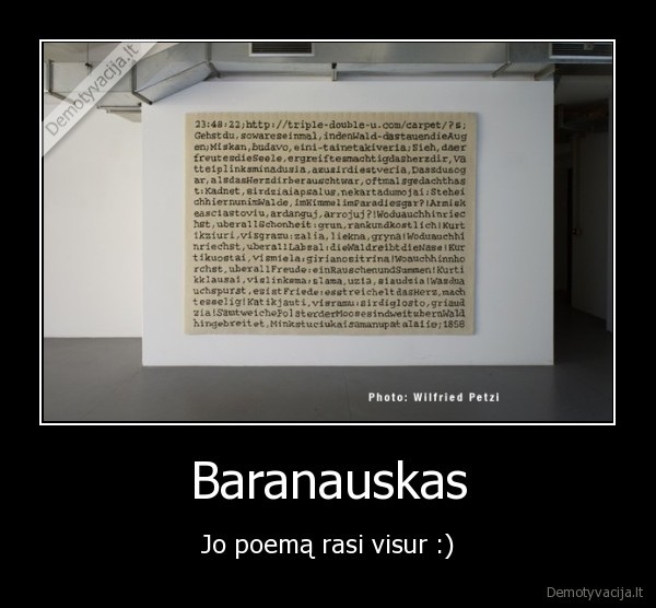 baranausas,anyksciu,silelis