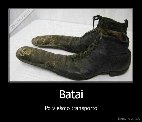viesasis, transportas,batai,vargsai, pirstai