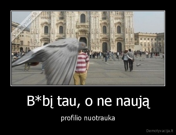 nuotrauka,sugadino