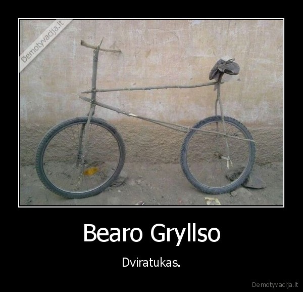 dviratis,bear, grylls