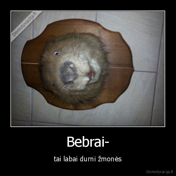 Bebrai-