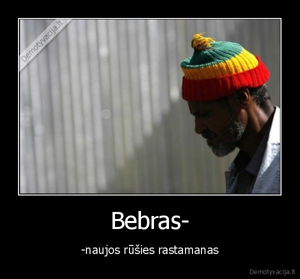 Bebras-