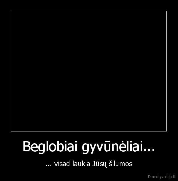 suo,kate,gerumas,gyvunai,meile,akcija,beglobiai,augintiniai,sunys,kates
