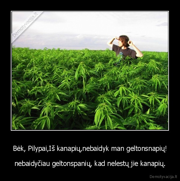 lietuviu,liaudis,byloja,kanapes,selmiai,pauksciai