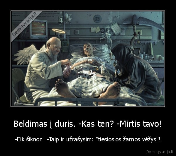 vezys,mirtis, zarna,giltine