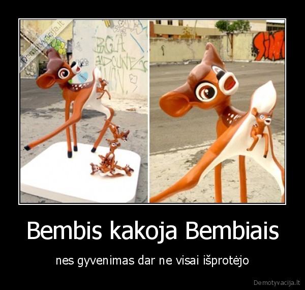 bembis