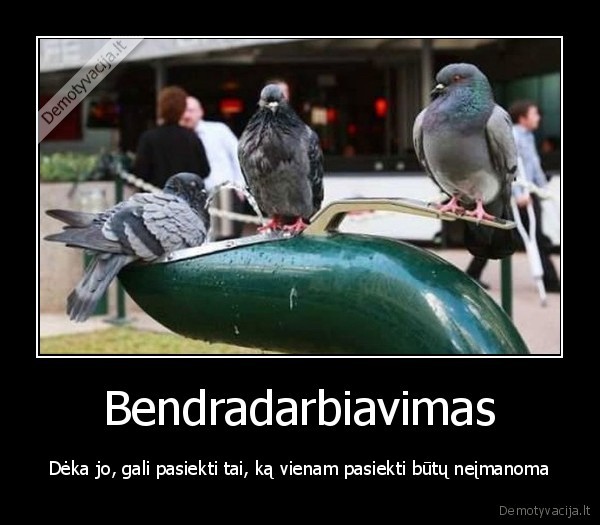 bendradarbiavimas,tikslas,balandis,karvelis,paukstis,vanduo,gerti