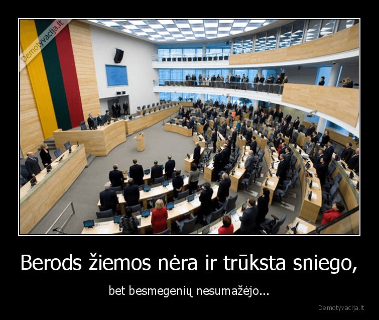 seimas,sniegas,besmegeniai,ziema