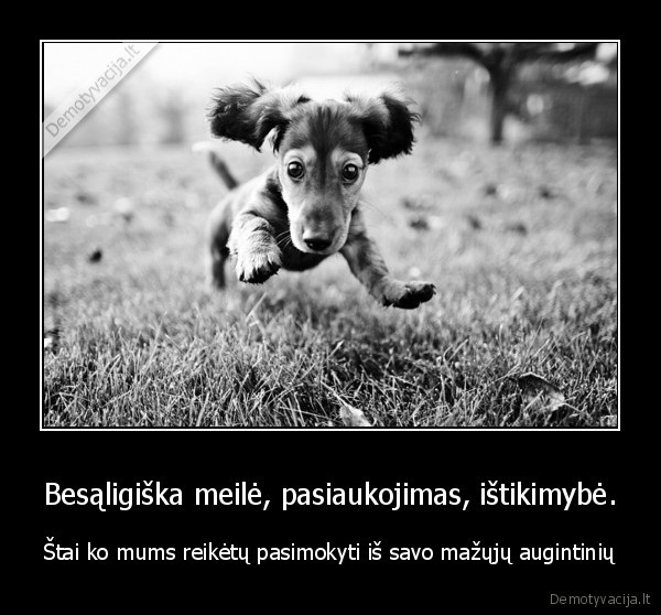Besąligiška meilė, pasiaukojimas, ištikimybė.
