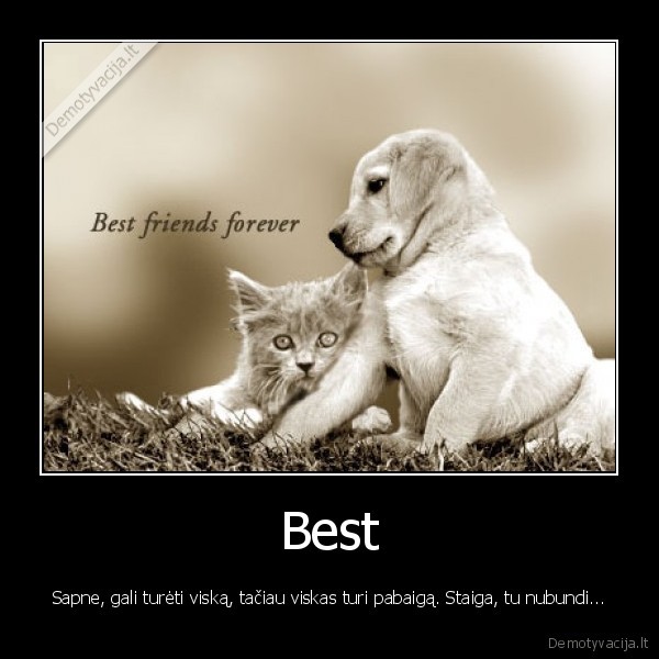 Best