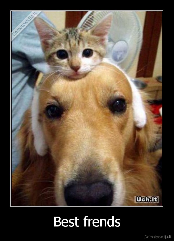 Best frends