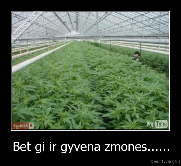 kanapes,zmones,gyvena,laimingai