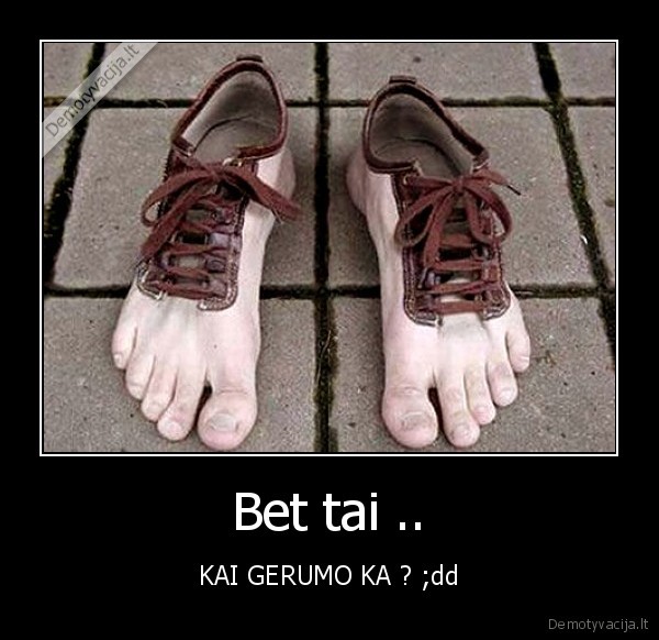 Bet tai ..