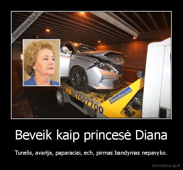 brazauskiene,avarija,tunelis,diana