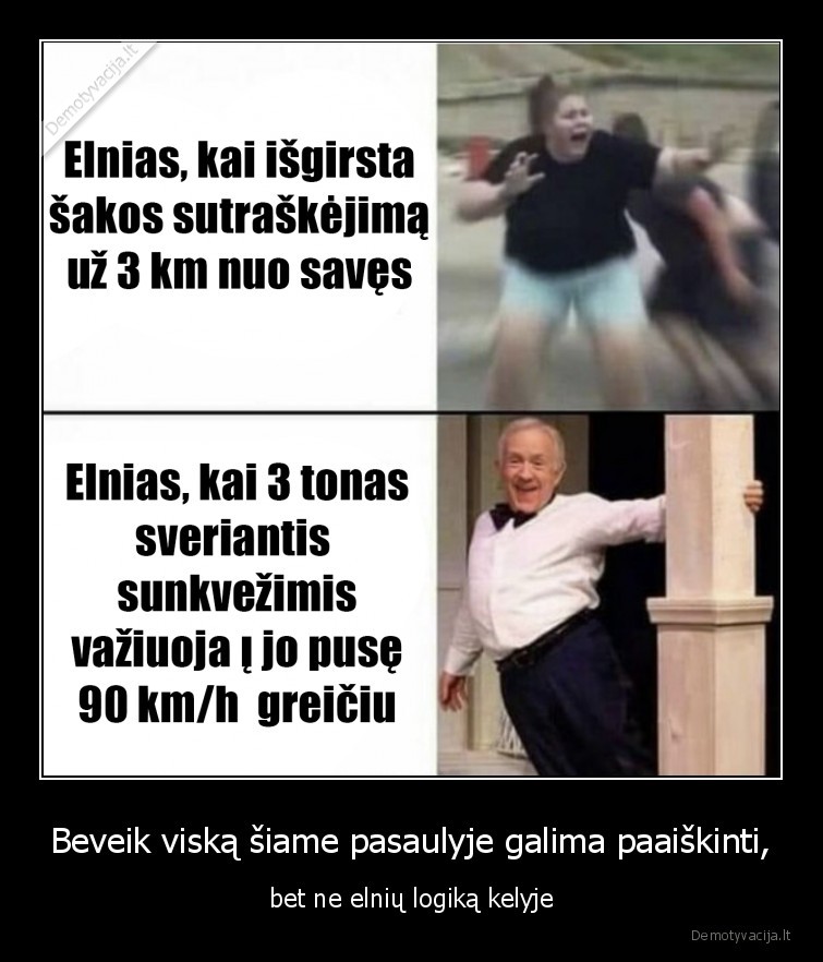 elniai,kelias,sunkvezimis