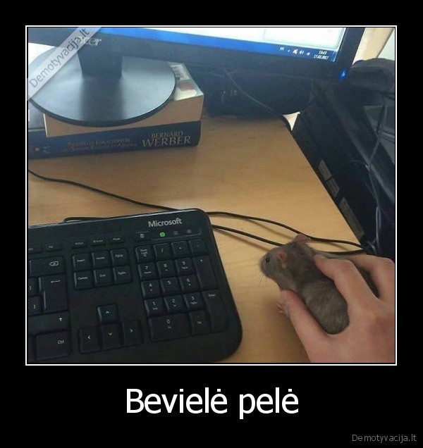 pele,beviele