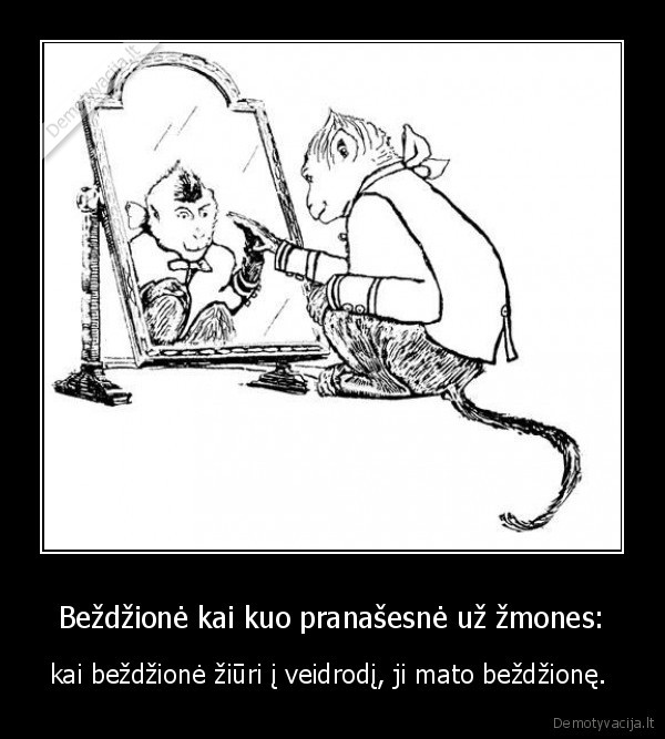 bezdzione