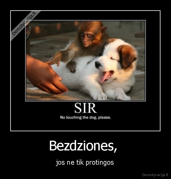 Bezdziones, 