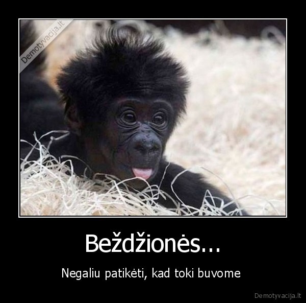 Beždžionės...