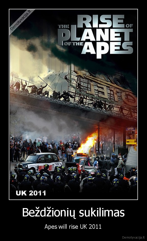 apes, riot, uk, london
