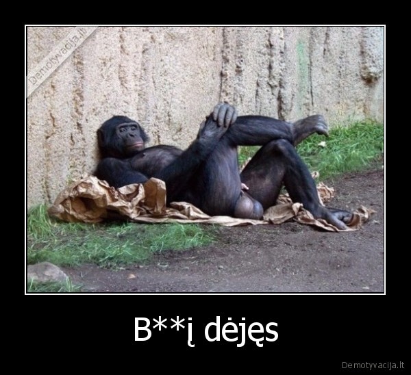 B**į dėjęs