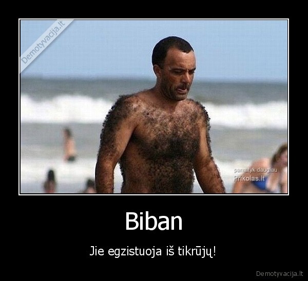 Biban