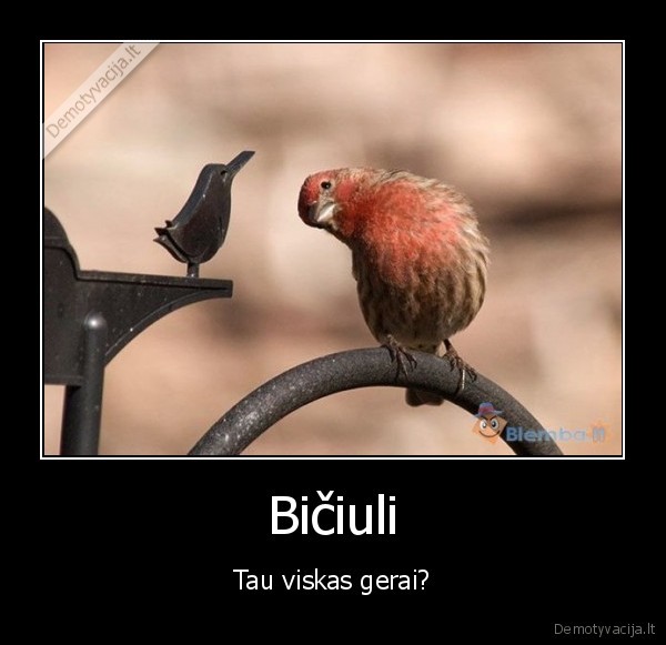biciulis
