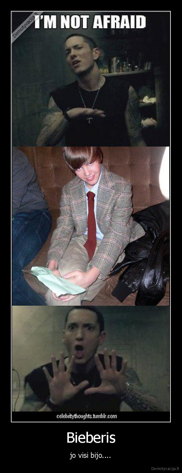 Bieberis