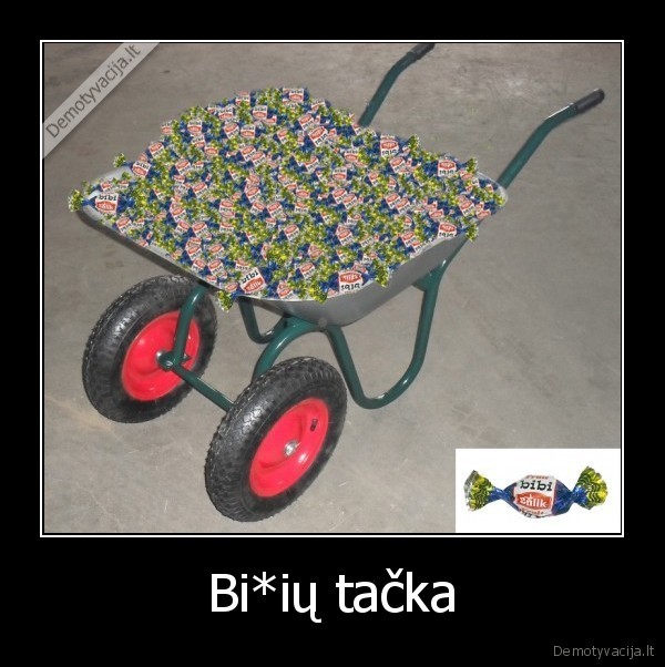 Bi*ių tačka