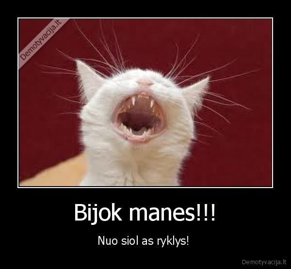Bijok manes!!!