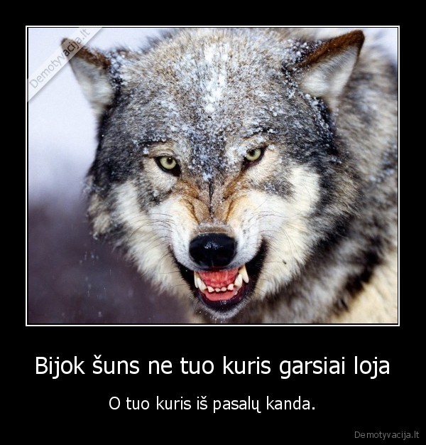 suo,piktas,tylus,zmogus,stiprus