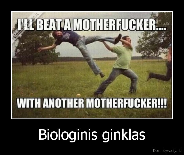 ginklas