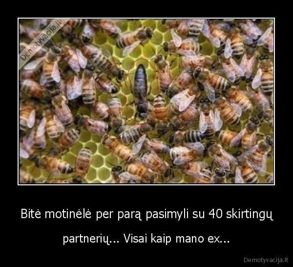 ex,buvusioji