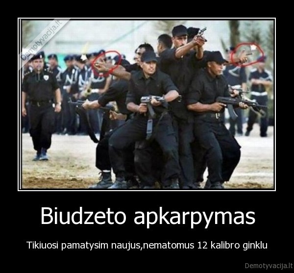 ginklai,biudzetas
