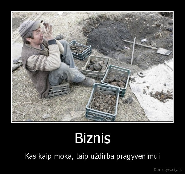Biznis