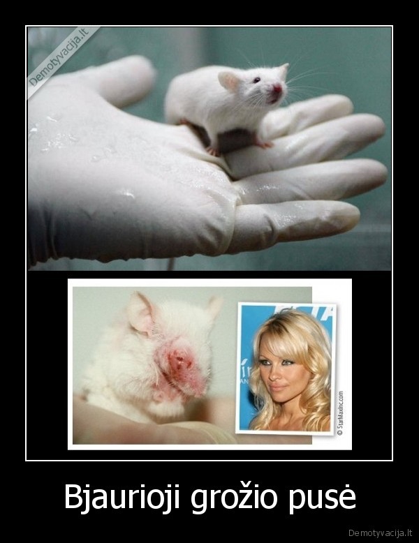Bjaurioji grožio pusė