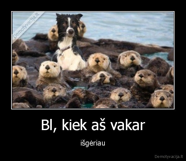 suo,gerti