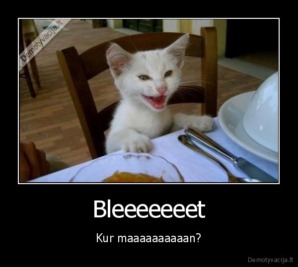 Bleeeeeeet