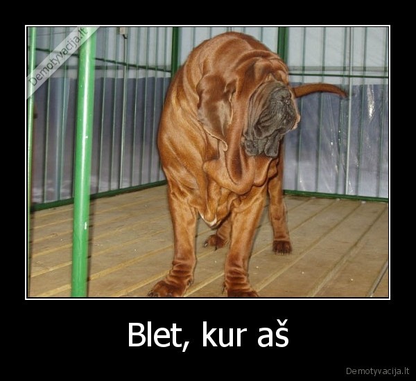 Blet, kur aš