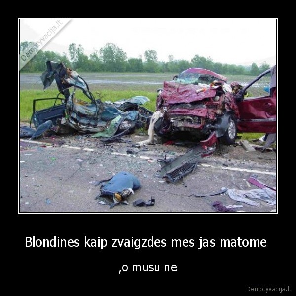Blondines kaip zvaigzdes mes jas matome 