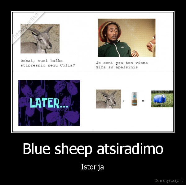 blue, sheep, time, to, chilling
