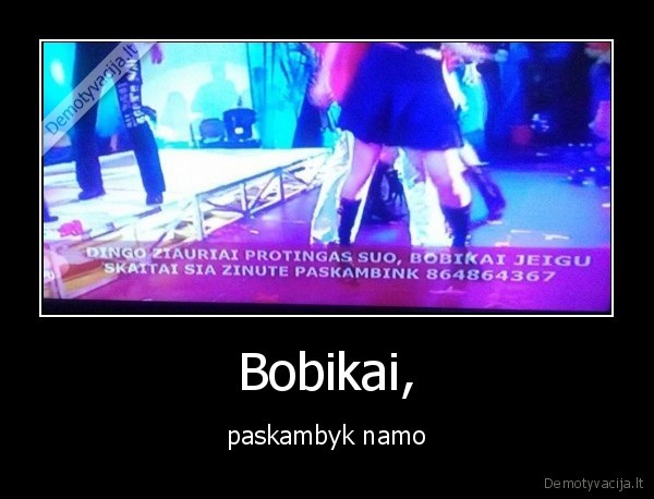 bobikas,protingas, suo,skelbimas