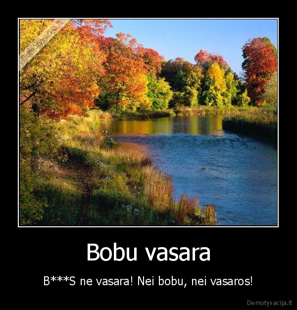 Bobu vasara