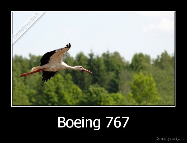 gandras, kaip, boeingas