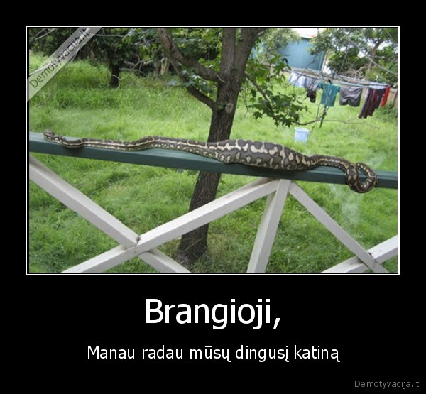 katinas,gyvate,suvalgyti,skanu