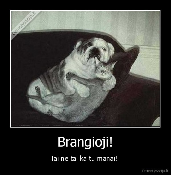 suo,kate,suns, zmona